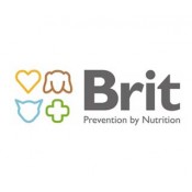 Brit