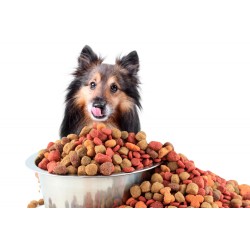 Акции для Собак