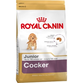 Royal Canin Cocker Junior, для щенков кокер-спаниелей до 12 мес, 3 кг